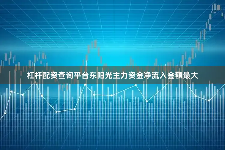 杠杆配资查询平台东阳光主力资金净流入金额最大