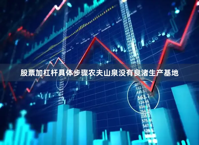 股票加杠杆具体步骤农夫山泉没有良渚生产基地