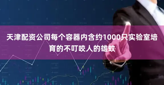 天津配资公司每个容器内含约1000只实验室培育的不叮咬人的雄蚊