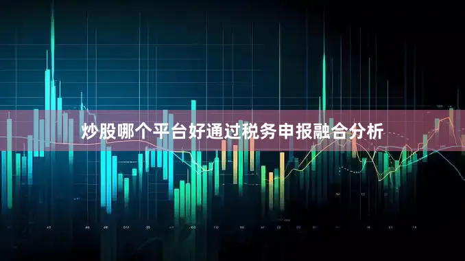 炒股哪个平台好通过税务申报融合分析