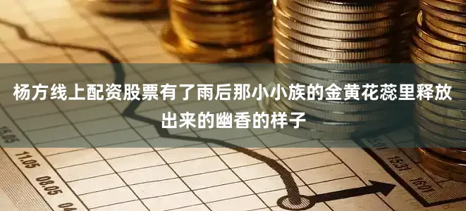 杨方线上配资股票有了雨后那小小族的金黄花蕊里释放出来的幽香的样子
