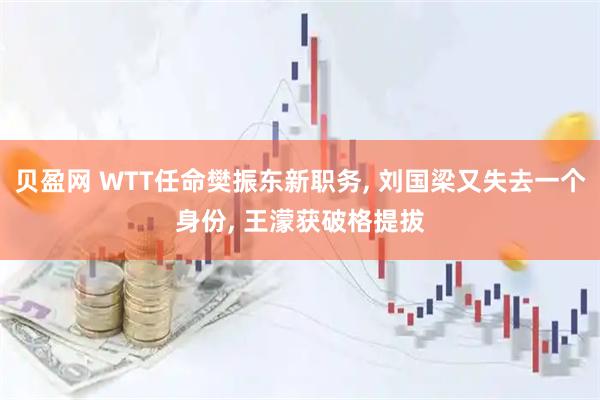 贝盈网 WTT任命樊振东新职务, 刘国梁又失去一个身份, 王濛获破格提拔