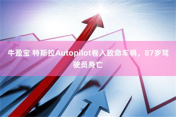 牛盈宝 特斯拉Autopilot卷入致命车祸，87岁驾驶员身亡
