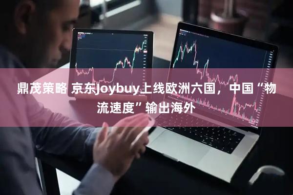 鼎茂策略 京东Joybuy上线欧洲六国，中国“物流速度”输出海外