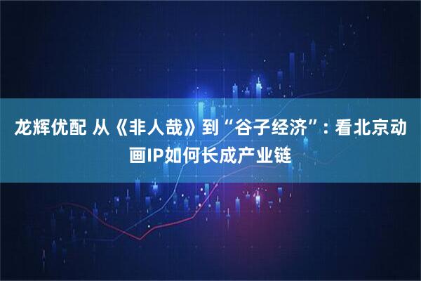 龙辉优配 从《非人哉》到“谷子经济”: 看北京动画IP如何长成产业链